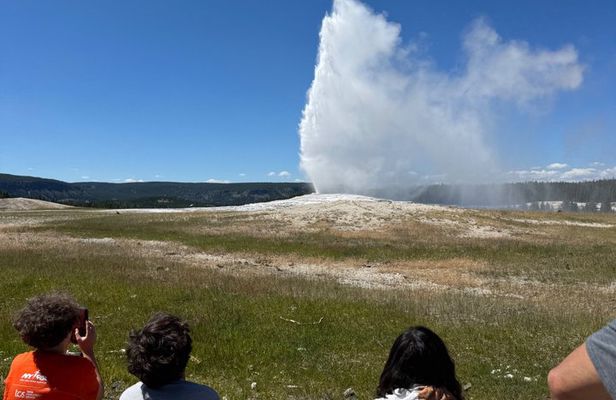 Old Faithful Yellowstone Half Day Express Tour