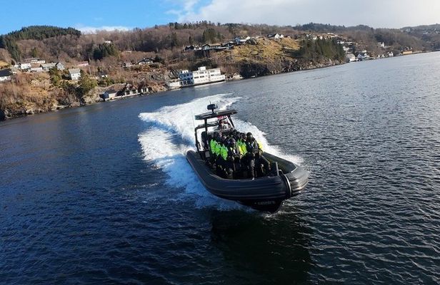 Bergen: Alverstraumen RIB Safari - by Premium RIB Boat
