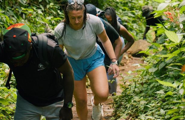 Grand Etang Rainforest - Hike & Swim (Small Group Adventure) 