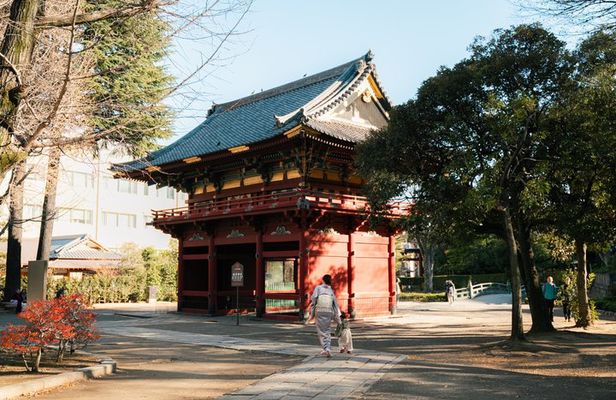 Old Tokyo Guided Walking Tour of Yanaka and Nezu Shrine