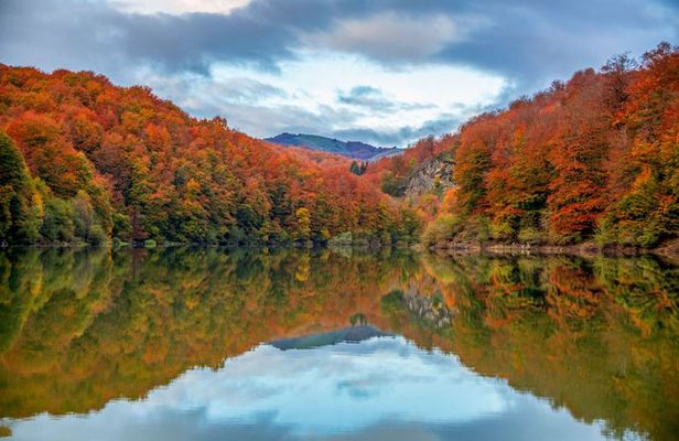 Day Trip to Irati Forest and Ochagavia from Pamplona