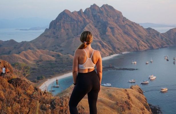 Exclusive Speed Boat Group Tour: One Day to Komodo Island