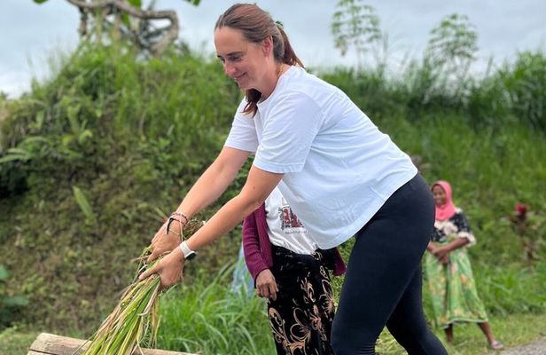 Tetebatu Private Trek Rice Fields Waterfall and Monkey Forest