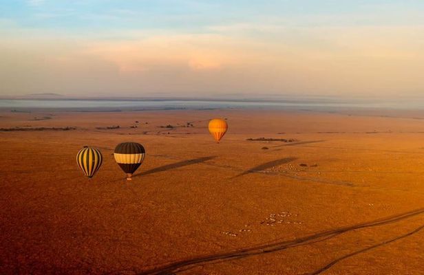 3 Day Maasai Mara Group Safari Big Five Adventure from Nairobi