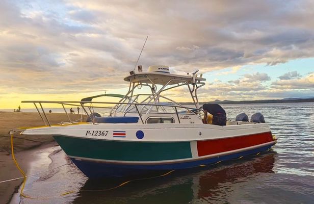 Turtle Island Private Tour 4 People with Lunch and Snorkeling