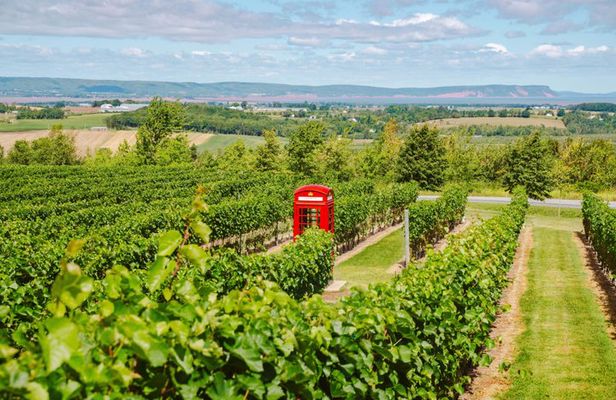 Annapolis Valley Experience Small Group Full Day Tour