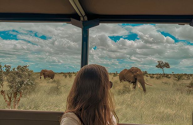 4 Day Kruger National Park All Inclusive Safari from Johannesburg