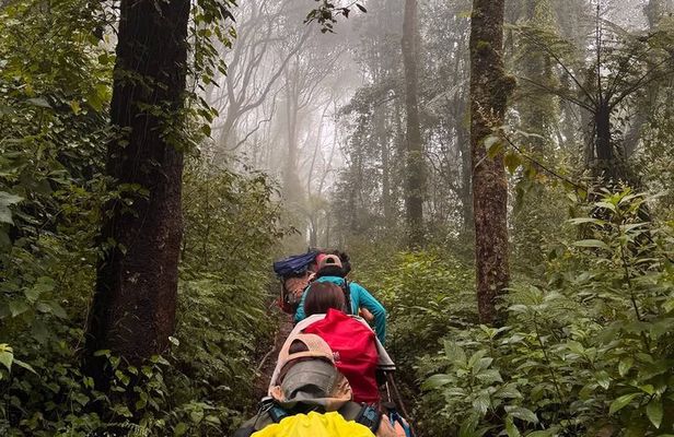 Kilimanjaro day hike tour marangu route