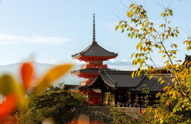 Kyoto Private Day Trip from Osaka