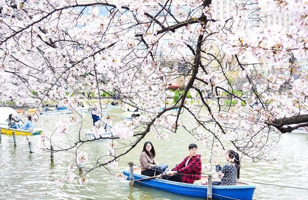 Ueno Park and Ameyoko Street Food Market Half Day Walking Tour