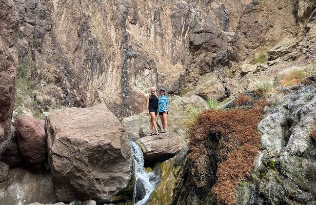 Hoover Dam to Willow Beach Guided Full Day Tour