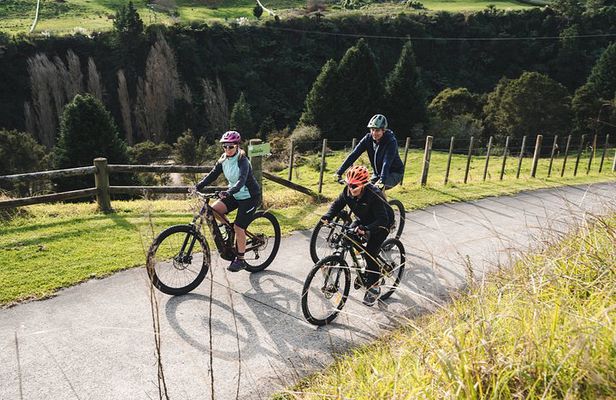 Half Day Guided Bike Tour Te Awa River Ride