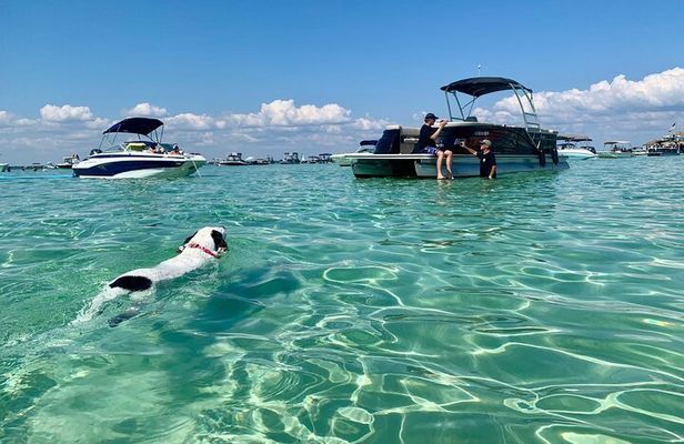 Private Dolphin Tours and Customized Charters in Destin
