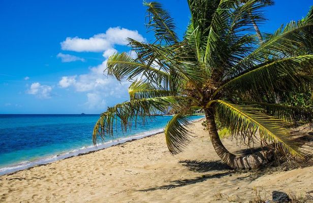 St Kitts Photography Tour with Photo Insurance