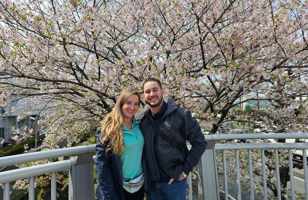 Fuji City: Mount Fuji Scenic E-Bike Tour