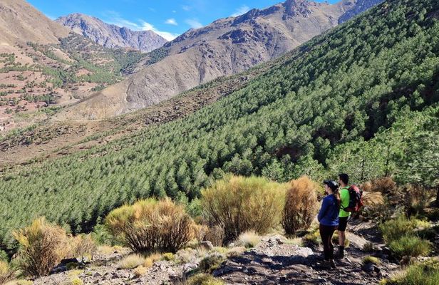 Private Atlas Mountains & Imlil Valley Day Trip from Marrakech