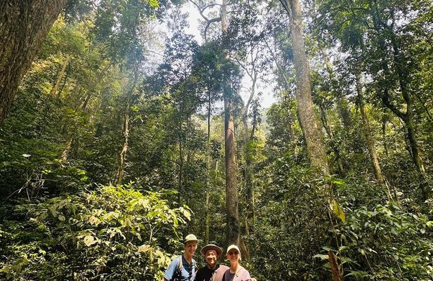 Ninh Binh Day Trek at Cuc Phuong National Park and Bear Sanctuary