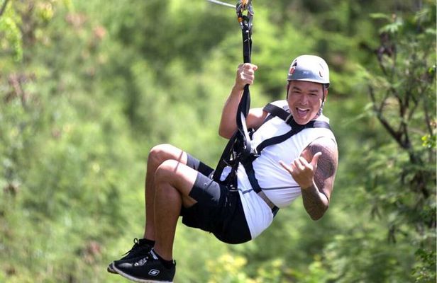 Oahu:6 Zipline Adventure (Optional Waikiki Shuttle for 10am Tour)