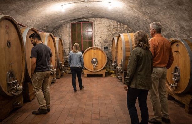 Amarone and Valpolicella Winery Tour with Transport from Verona