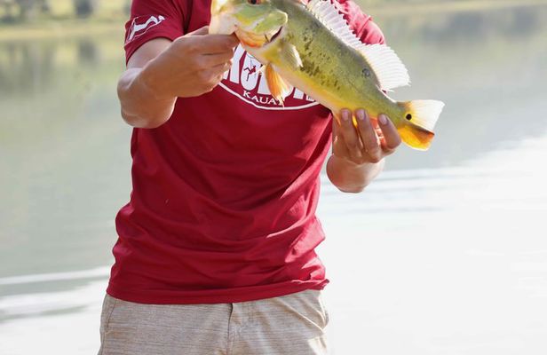 Kaua'i Bass Fishing
