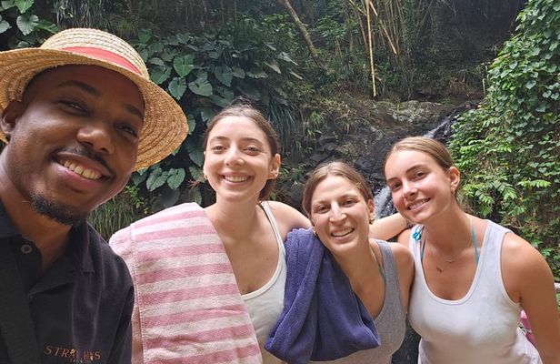 Scenic route and Rainforest Private Tour