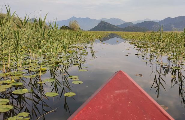 2 hour Guided Amazon Boat Tour