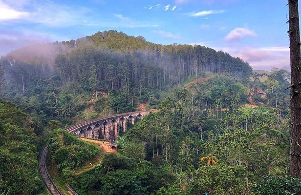  Ella Day Tour Sri lanka Nine Arch ,Train Ride & Little Adam Peak