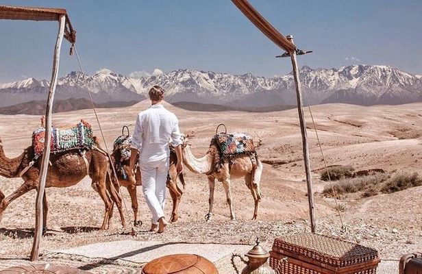 Marrakech: Dinner Wow Sunset Camel ride in Agafay