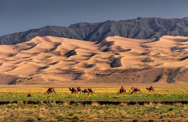 Discover the Wonders of the Gobi Desert in Mongolia ️