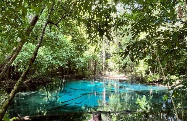 Krabi Jungle Tour, Small Group of 9, Full Day with Lunch