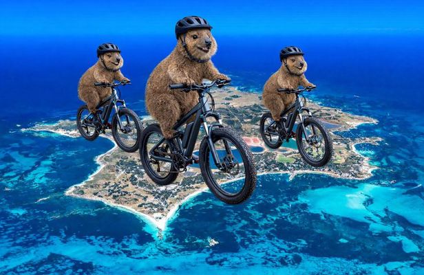 PUBLIC TOUR > Wadjemup Tour Rottnest Island E Bike Adventure