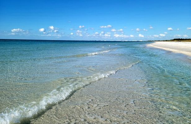 3 Hour Dolphin Snorkeling and Shell Key Adventure St. Pete Beach