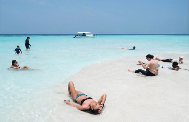 Saona Island Speedboat Tour from Punta Cana + Natural Pool