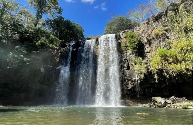 Sloth, Coffee & Chocolate Experience with Waterfall Swimming