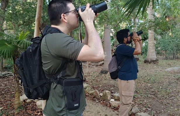Birdwatching Adventure in Playa del Carmen with Local Guide