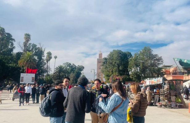 Marrakech Highlights Guided City Tour