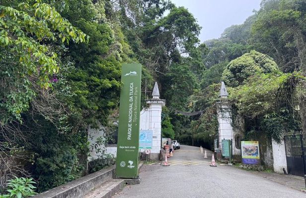 Tijuca Forest: Secret Waterfalls, Cave and Wildlife