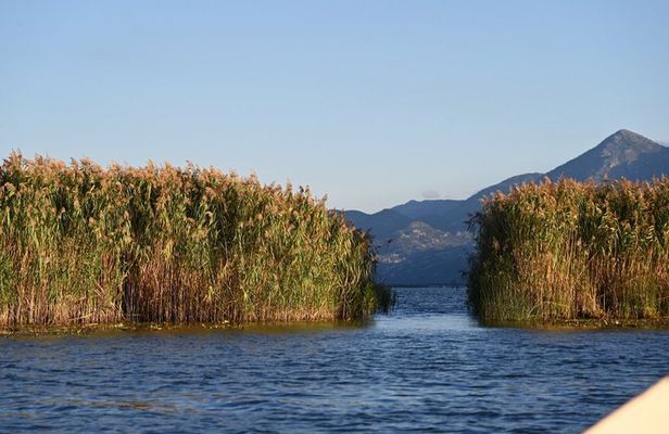 Lake Skadar Hidden Gems Boat Ride to Poseljani and Swimming