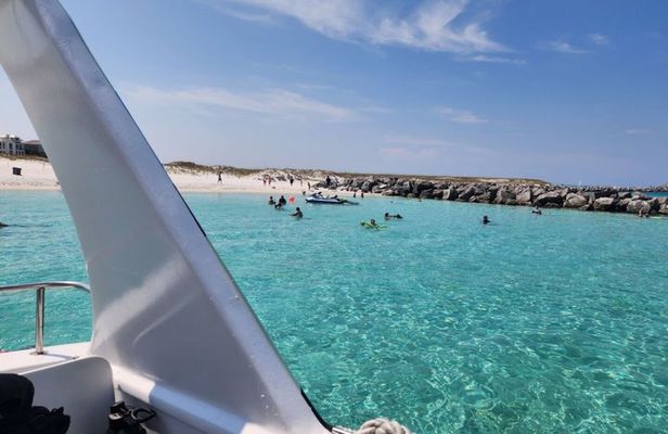 Snorkel and Dolphin Cruise Aboard The Sea Blaster in Destin FL