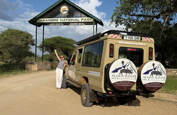 Arusha: 1 - Day Classic Safari to Tarangire National Park
