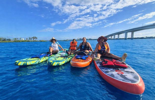 Dolphin and Manatee Paddleboard Adventure in Daytona