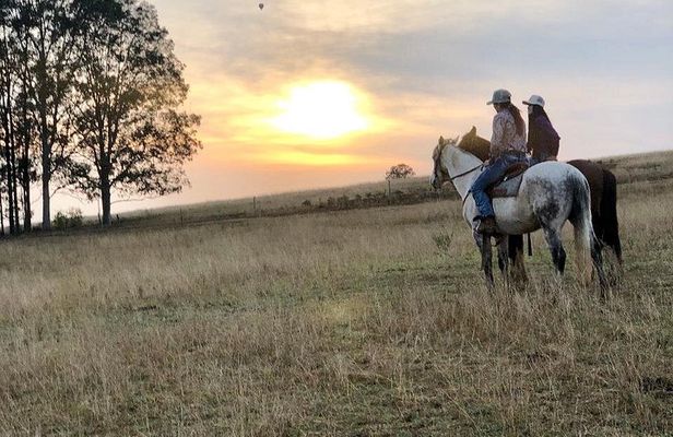 Sunrise Horse Ride in Hunter Valley