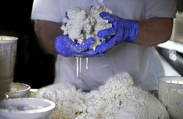 Sicilian Cheese Tour and Tasting at the Local Dairy