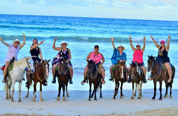 Horseback Riding Puerto Plata: Special for Cruise Ships