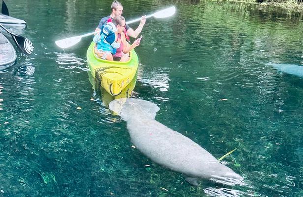 Silver Springs Clear Kayak Tour – Manatees & Monkeys Tour