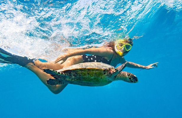Oahu: Full-Day Circle Island Tour with Beach Stop & Free Wi-Fi