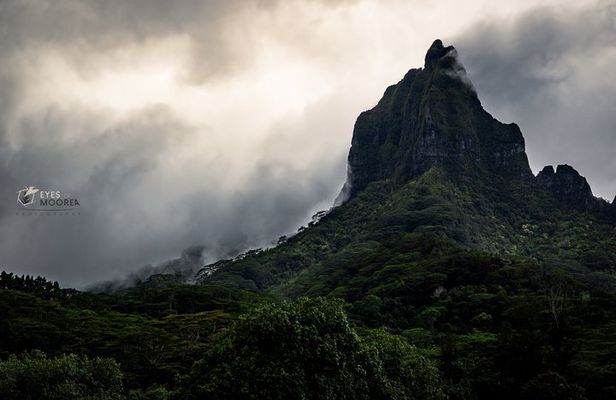 Exclusive discovery and photo tour in Moorea