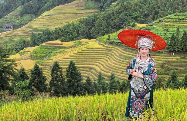 Guilin: In Depth Longji Rice Terraces Adventure Trip by ZANBUS