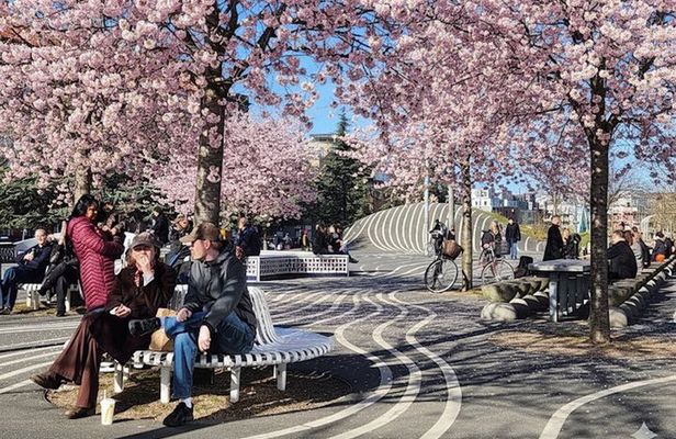 Private Nørrebro: The Coolest Neighborhood in the World