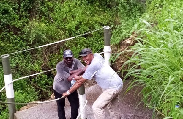 Kereita Forest Adventures and Ziplining